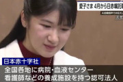 【悲報】愛子さま、正社員採用されず…。嘱託社員として社会人キャリアスタート