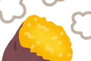 【緊急】さつまいも、最強の栄養食なのに不人気WWWWWWWWWWWWWWWWWWWWWW