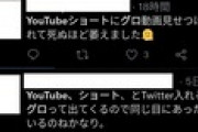 【悲報】YouTubeショートのグロ動画で被害者続出ｗｗｗｗｗｗｗｗｗｗｗｗｗｗｗｗｗ