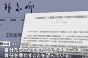 ( ´_ゝ`) 中国、Ｇ２０でコロナ対策に３４億支援表明「真剣に反省しろ！」