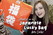海外「うちの子も喜びそう！！」日本の「猫用福袋」を紹介した動画に注目！