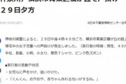 【不審者情報】男「くんくん、おやおや、赤ちゃんが作れる匂いがするねぇ」