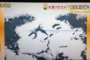 野獣先輩と遠野、名画だった