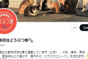 【煽り】時事通信社どうぶつ部「#サル発言 で #立憲民主党 の小西議員が筆頭幹事を更迭されました」