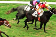 90年代の競馬が絶滅しそうな件