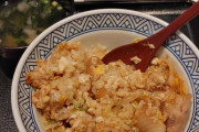 (ヽ´ん`)「吉野家の親子丼、味薄いわ。なか卯食ったほうがいい」