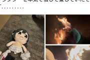【動画】オタクさん、声優の結婚に発狂してキャラのぬいぐるみを焼く…