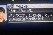 【悲報】中島翔也さんの紹介文…可愛すぎるｗｗｗｗｗｗｗｗｗ