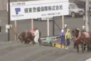 ばんえい競馬で障害を登れない馬の顔面をキックする騎手の動画が炎上中。