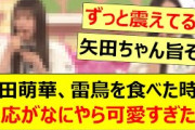 矢田萌華、雷鳥を食べた時の反応がなにやら可愛すぎたwww【乃木坂46・乃木坂配信中・乃木坂工事中】