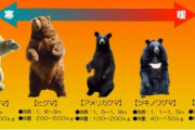 【海外の反応】日本人「熊でさえ白いほうが強い…白人になりたかった…」