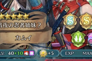 【FEH】国民投票はカムエリ優勝路線になりそうだな