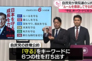 自民党さん　X民を敵視するあまり開示請求と法的措置を表明←デマと誤情報ばかりの公約をどうにかしろと炎上