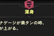 【MHWI】渾身とかいう犠牲になったスキル・・・【アイスボーン】