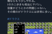 彡(ﾟ)(ﾟ)「ドラクエに特別なセンスを感じたことはない」