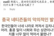 韓国人「中国ネットユーザーが韓国人に悪意的な発言！」中国人と韓国人の口喧嘩の内容をご覧ください→「韓国人は口喧嘩では絶対に負けない」　韓国の反応