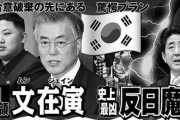 【悲報】韓国人「私は文在寅の反日外交は結果的に正解だったと思います」その理由がこちら‥　韓国の反応