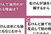 無駄な知識を教えてください |  崎陽軒のシウマイ弁当は横浜で買うと蓋に紐がついてるが東京で買うとついてない
