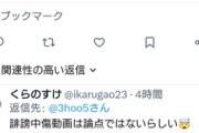 このままフェードアウトだろうな　〜　毎日新聞「小泉氏“批評”動画」　←中傷動画では？批評に何の問題が？見出し誤字？本文の誤字？