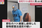 【悲報】鳥のマスクを被り鞭で鳥を殺した男、逮捕・・・