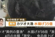 漁師「いやああああ！！！カツオが35倍の漁獲量で激安になっちゃうのおおおお！！」