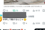 【悲報】X民「飛行機が立ち往生？手押しで動ける」→なぜか警察からリプが来てしまうｗｗｗｗ