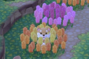 【ポケ森】ヒヤシンスに埋もれてる柴かわいい【どうぶつの森 まとめ】