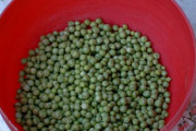 グリーンピース「栄養ないです。食感悪いです。味も個性的です。」