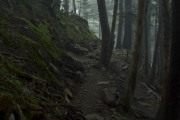 【栃木ホラー】日光の大山ハイキングコースで思い切り幽霊見たんだが、あそこ何かあるの？