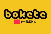 【画像】今年のbokete最高傑作、これで決定かｗｗｗｗｗｗｗｗｗｗｗ
