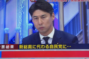 テレビ「新総裁に変わる自民党に期待できますか？」国民「…😡」