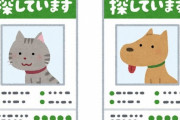 「近所で変わった迷子の貼り紙を見たんだけど…」気になるペット