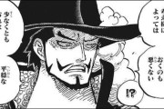 ワンピースの鷹の目のミホークとかいう男www
