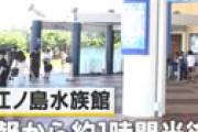 【画像】 新江ノ島水族館に「刃物男が侵入」と全員避難、警官集結で騒然 ⇒ 真相が判明・・