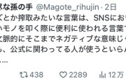 【悲報】有名なろう作家「私は件の脚本家を批判してない。言葉選びには気を付けないとねってことを言いたいだけ」