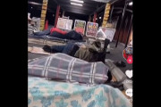 【朗報】パチ屋駐車場でダンボールを敷いて開店を待つパチンカスさん達ｗｗｗｗｗｗｗｗｗｗｗ