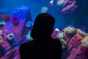 一人で水族館ってどうなん？