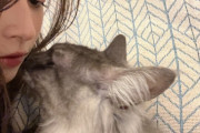 【乃木坂46】井上和が飼い始めた猫ちゃんがこちら！！！
