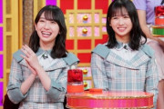 【日向坂46】そういえば、あの番組全く出なくなったよな。