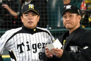 阪神の次期監督『和田豊』だったらどう思う？