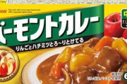 バーモントカレーって言うほど美味いか？