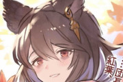 【グラブル】Twitterのフリート機能にてニーアのイラストが公開！秋の衣装で紅葉を手にする姿