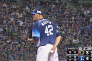 【公示】西武、マーティン山野辺など１軍登録