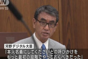 【辛かったね】マイナ河野「1丁目2番地3号を1―2―3と省略されるとマイナは判断できないんだよ?」