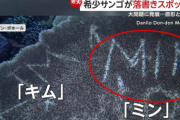 【海外】サンゴ礁に韓国人の名前がびっしり…フィリピンが有名観光地を閉鎖＝韓国ネット「落書きしたところでサンゴ礁は死なないよね」