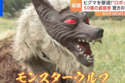 【動画】クマ対策の最終兵器「モンスターウルフ」が恐ろしすぎると話題に