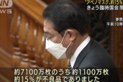 【悲報】岸田総理大臣「アベノマスクの在庫7100万枚のうち1100万枚が不良品だったわ」 →年内に廃棄へ