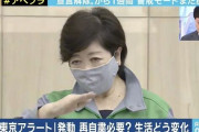 【悲報】小池百合子さん「電車がまた混んで来てる?」