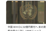【うっかり】WHOさん、情報お漏らしでアメリカ企業の株を爆下げしてしまうwww