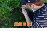 【ヒカキン】蛾の幼虫「むしお」を育て野外に放す→昆虫系YouTuberが不適切「生態系がめちゃくちゃになる」と懸念